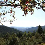 Konsum Gaestehaus Quisisana - Ξενοδοχείο 3*