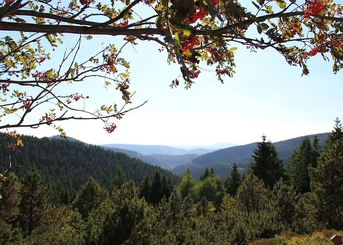 Konsum Gaestehaus Quisisana - Hotel 3*