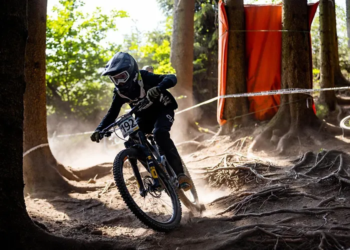 Hotel Konsum Gaestehaus Quisisana - 3*